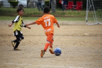 IMG_6367_R_R