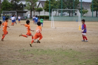 IMG_6732_R_R