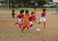 IMG_6792_R_R