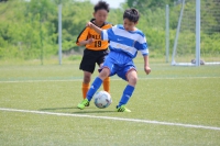 IMG_2767_R_R