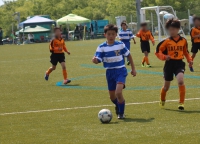 IMG_2784_R_R