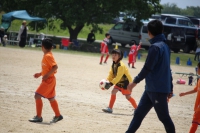 IMG_7162_R_R