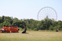 IMG_2854_R_R