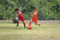 IMG_3424_R_R