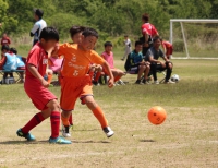 IMG_8128_R_R
