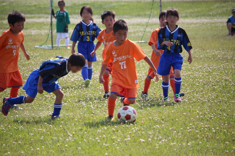 IMG_8372_R_R