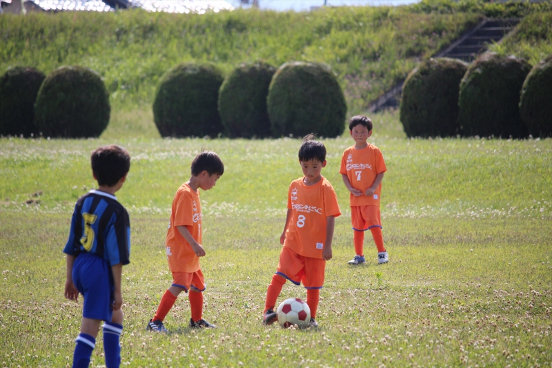 IMG_8379_R_R