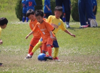 IMG_8317_R_R