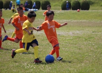 IMG_8321_R_R