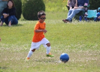 IMG_8329_R_R