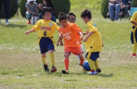 IMG_8332_R_R