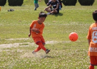 IMG_8341_R_R