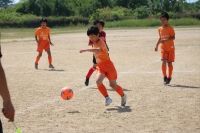 IMG_3593_R_R