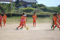 IMG_3720_R_R