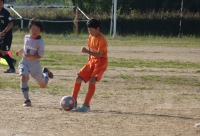 IMG_3862_R_R