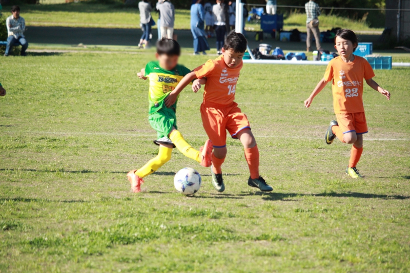 IMG_8496_R_R