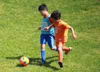 IMG_8426_R_R