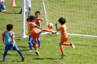 IMG_8440_R_R