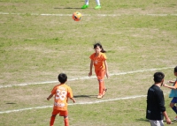 IMG_8448_R_R