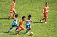 IMG_8450_R_R
