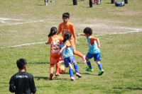 IMG_8451_R_R