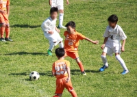 IMG_8480_R_R