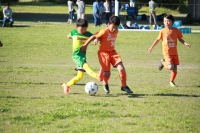 IMG_8496_R_R