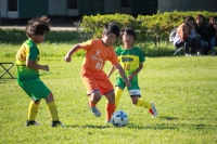 IMG_8500_R_R