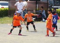 IMG_3998_R_R