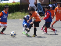IMG_4027_R_R