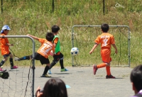 IMG_4209_R_R