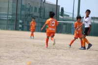 IMG_4430_R_R
