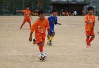IMG_4563_R_R