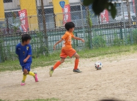 IMG_8981_R_R