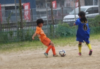 IMG_8982_R_R