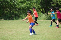 IMG_4960_R_R_R