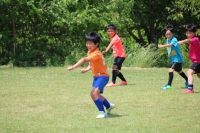 IMG_4961_R_R_R
