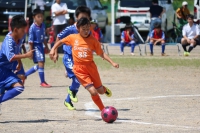 IMG_4632_R_R