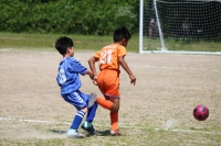 IMG_4736_R_R