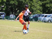 IMG_9527_R_R