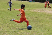 IMG_9639_R_R