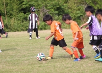 IMG_9728_R_R