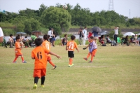 IMG_9753_R_R