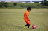 IMG_9810_R_R