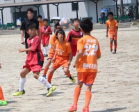 IMG_0182_R_R