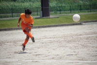IMG_0246_R_R