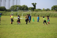 IMG_0387_R_R