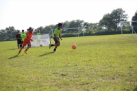 IMG_0693_R_R