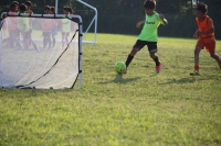 IMG_0883_R_R