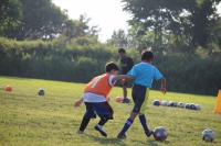 IMG_0894_R_R